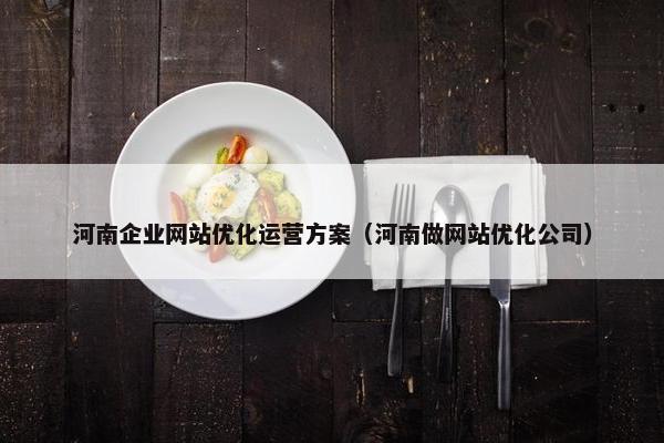 河南企业网站优化运营方案（河南做网站优化公司）