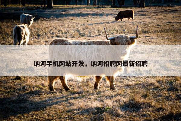 讷河手机网站开发，讷河招聘网最新招聘