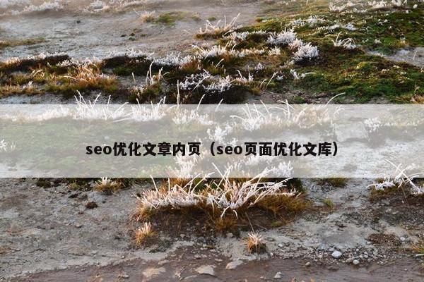 seo优化文章内页（seo页面优化文库）
