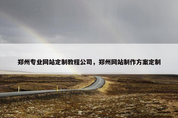 郑州专业网站定制教程公司，郑州网站制作方案定制