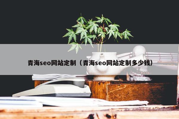 青海seo网站定制（青海seo网站定制多少钱）