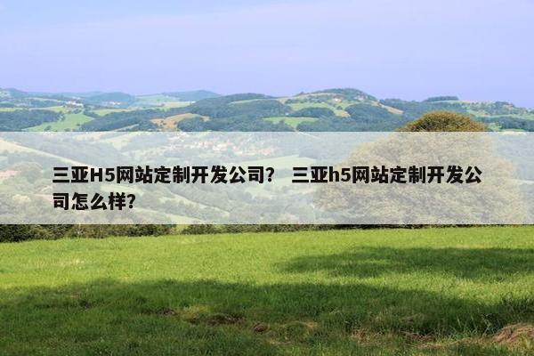 三亚H5网站定制开发公司？ 三亚h5网站定制开发公司怎么样？