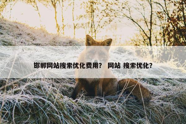 邯郸网站搜索优化费用？ 网站 搜索优化？