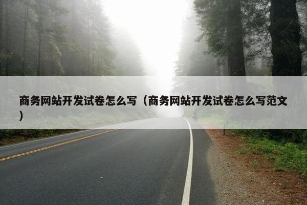 商务网站开发试卷怎么写（商务网站开发试卷怎么写范文）
