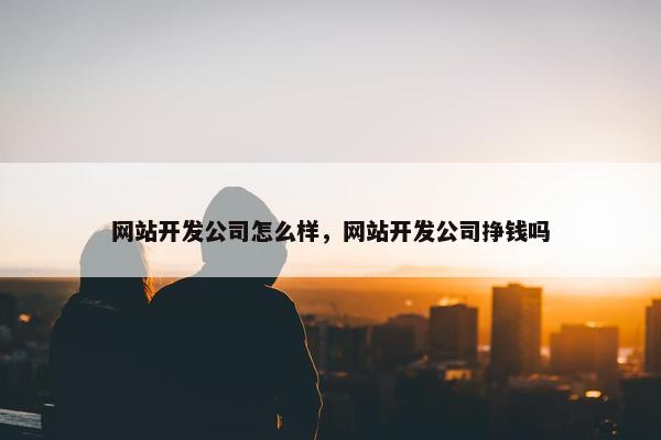 网站开发公司怎么样，网站开发公司挣钱吗