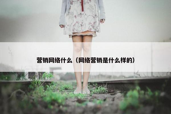 营销网络什么（网络营销是什么样的）
