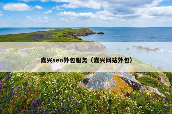 嘉兴seo外包服务（嘉兴网站外包）