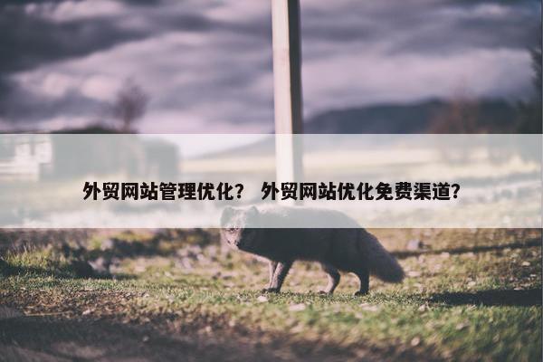 外贸网站管理优化？ 外贸网站优化免费渠道？