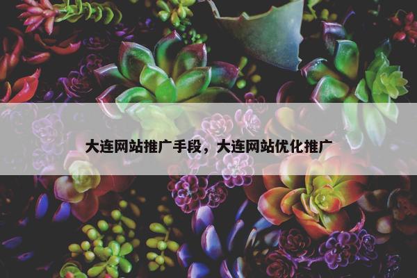 大连网站推广手段，大连网站优化推广