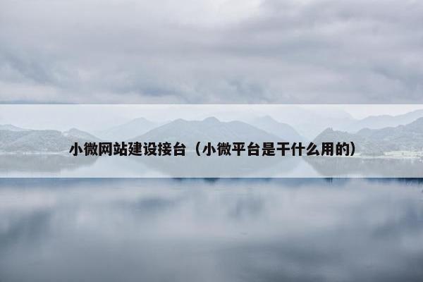 小微网站建设接台（小微平台是干什么用的）