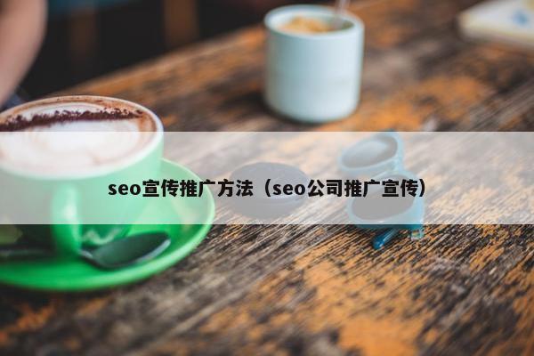 seo宣传推广方法（seo公司推广宣传）