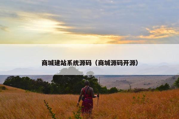 商城建站系统源码（商城源码开源）