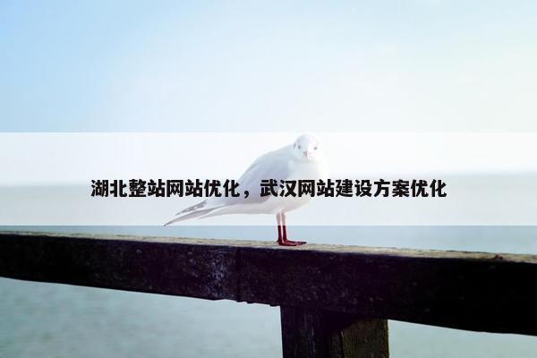湖北整站网站优化，武汉网站建设方案优化