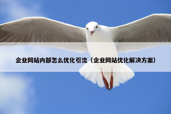 企业网站内部怎么优化引流（企业网站优化解决方案）