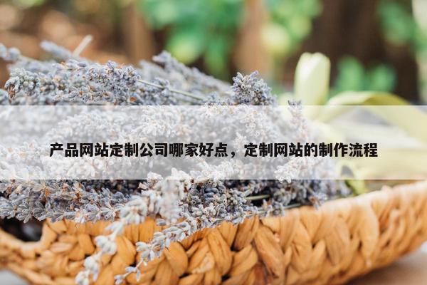 产品网站定制公司哪家好点，定制网站的制作流程