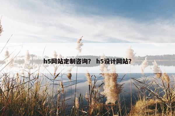 h5网站定制咨询？ h5设计网站？