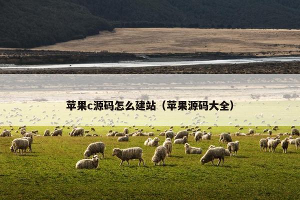 苹果c源码怎么建站（苹果源码大全）