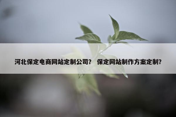 河北保定电商网站定制公司？ 保定网站制作方案定制？
