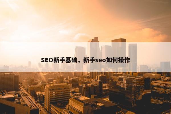 SEO新手基础，新手seo如何操作