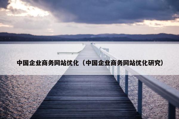 中国企业商务网站优化（中国企业商务网站优化研究）