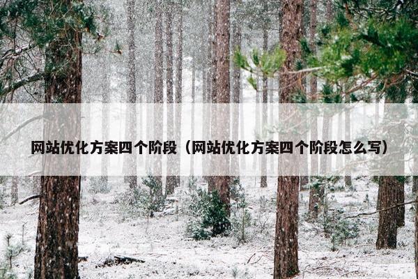网站优化方案四个阶段（网站优化方案四个阶段怎么写）