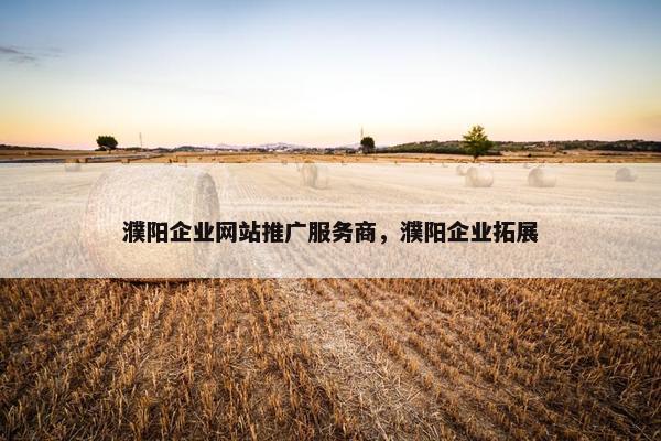 濮阳企业网站推广服务商，濮阳企业拓展