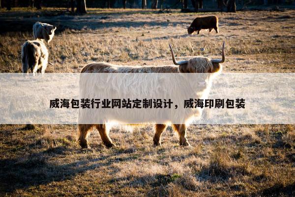威海包装行业网站定制设计，威海印刷包装
