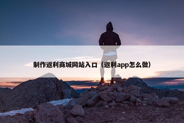 制作返利商城网站入口（返利app怎么做）