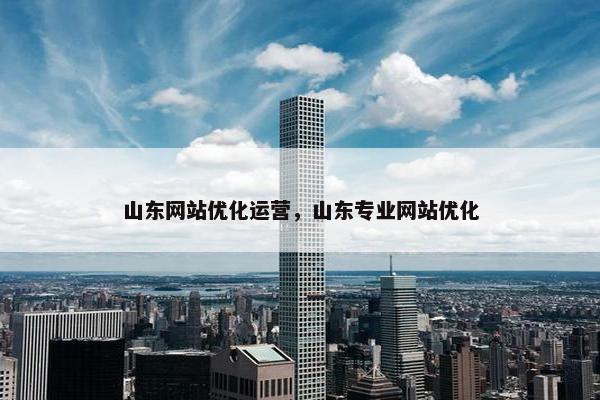 山东网站优化运营，山东专业网站优化