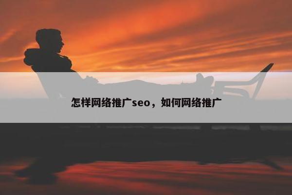 怎样网络推广seo，如何网络推广