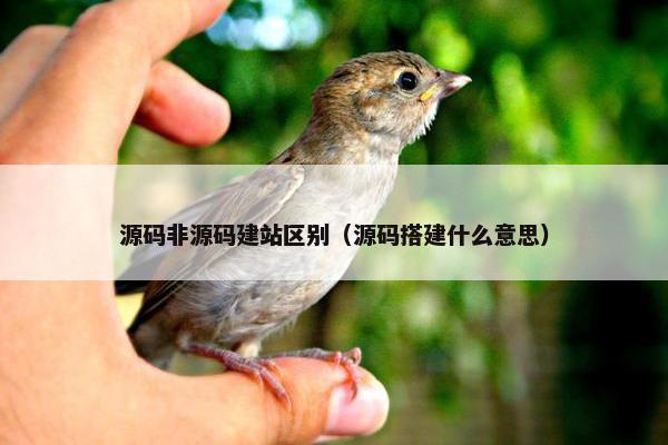 源码非源码建站区别（源码搭建什么意思）