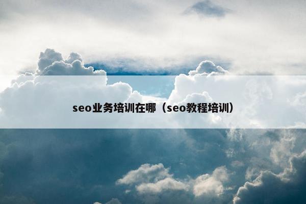 seo业务培训在哪（seo教程培训）