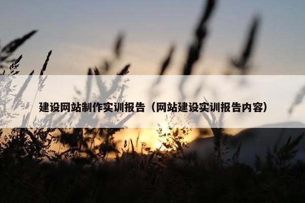 建设网站制作实训报告（网站建设实训报告内容）