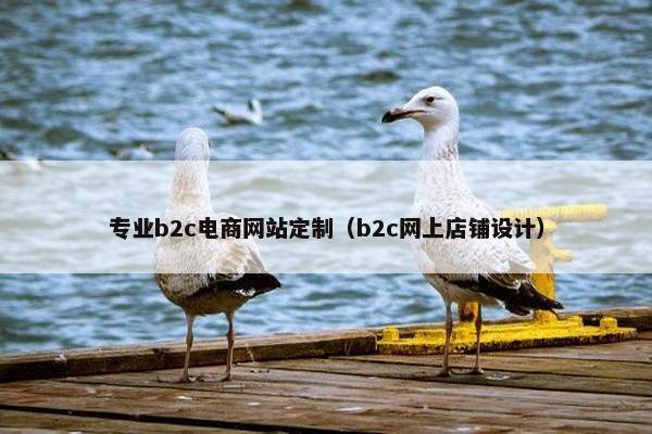 专业b2c电商网站定制（b2c网上店铺设计）