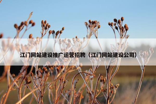 江门网站建设推广运营招聘（江门网站建设公司）