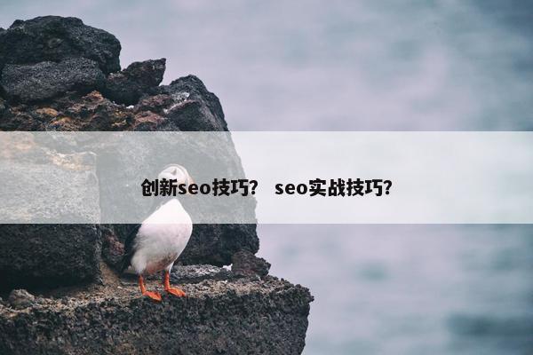 创新seo技巧？ seo实战技巧？
