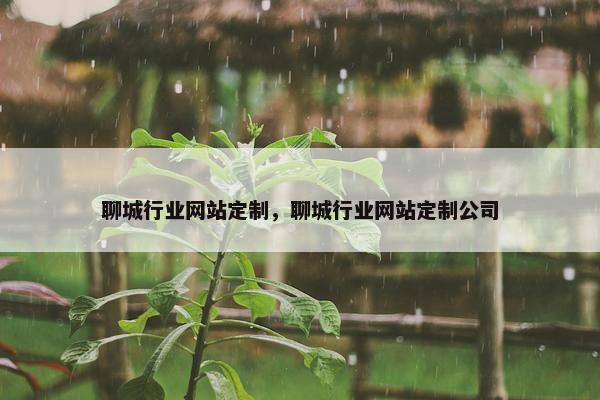 聊城行业网站定制，聊城行业网站定制公司