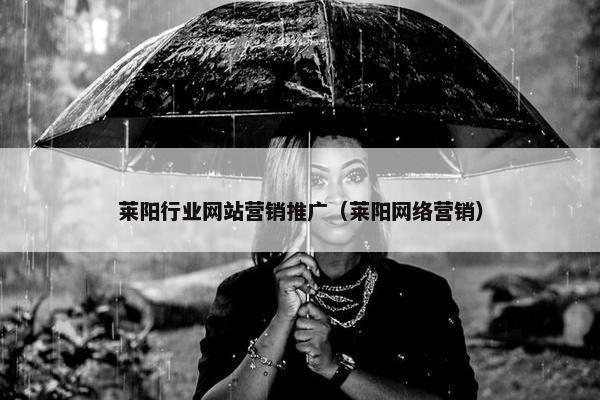 莱阳行业网站营销推广（莱阳网络营销）