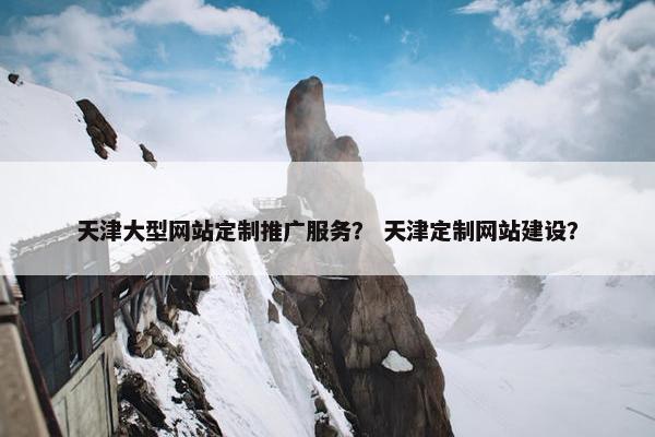 天津大型网站定制推广服务？ 天津定制网站建设？