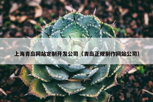 上海青岛网站定制开发公司（青岛正规制作网站公司）