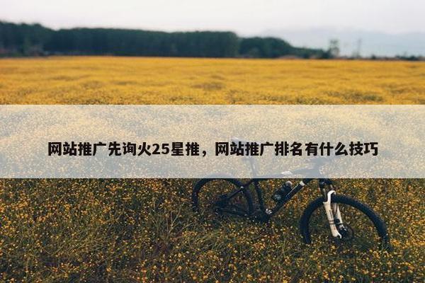 网站推广先询火25星推，网站推广排名有什么技巧