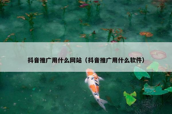 抖音推广用什么网站（抖音推广用什么软件）