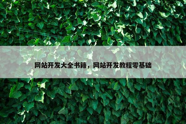 网站开发大全书籍，网站开发教程零基础