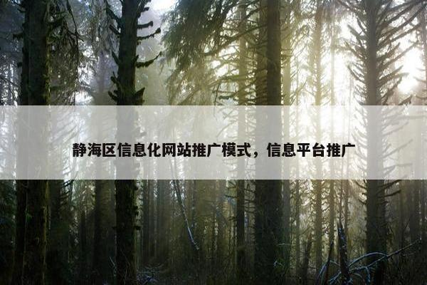 静海区信息化网站推广模式，信息平台推广