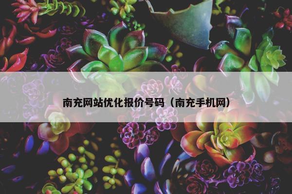 南充网站优化报价号码（南充手机网）