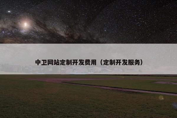 中卫网站定制开发费用（定制开发服务）