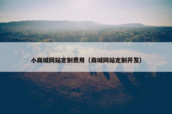 小商城网站定制费用（商城网站定制开发）