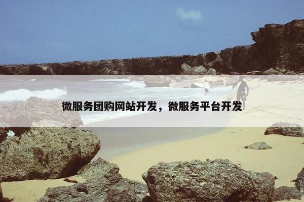 微服务团购网站开发，微服务平台开发