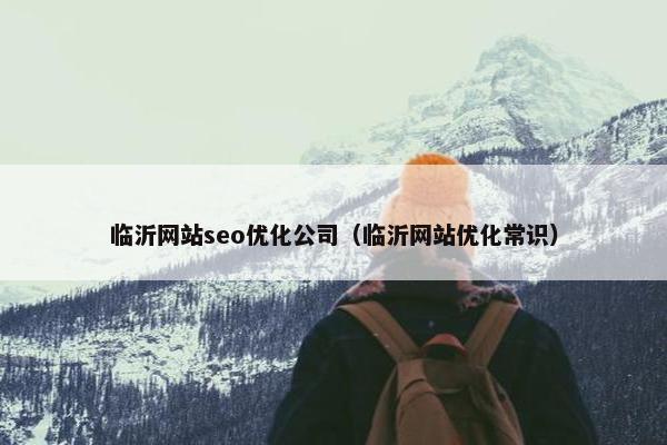 临沂网站seo优化公司（临沂网站优化常识）