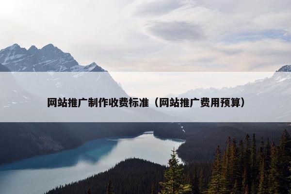 网站推广制作收费标准（网站推广费用预算）